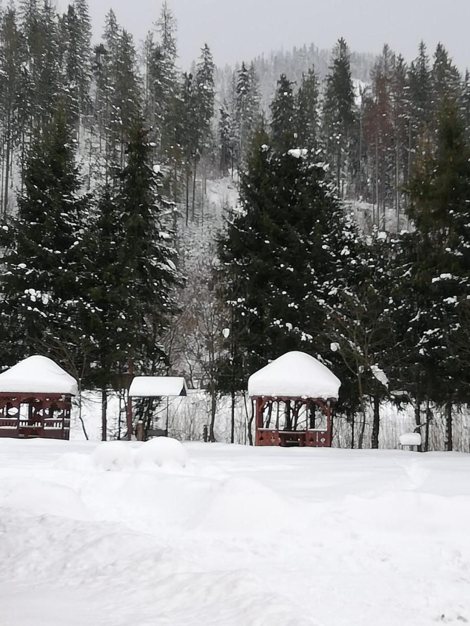 Кукулька Міні-Готель Slavske Exterior foto